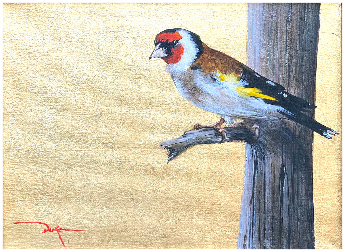 Goldfinch No. 4 oil painting by Duke Windsor
