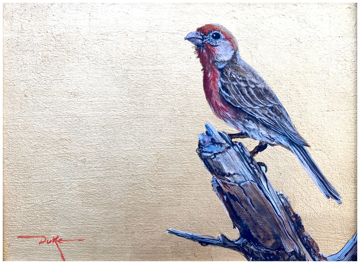 Spring Goldfinch oil painting by Duke Windsor